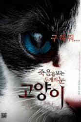 猫:看见死亡的双眼