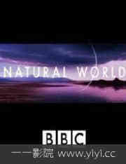 BBC 自然世界.蚂蚁攻击