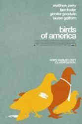 美国鸟类/美国的鸟