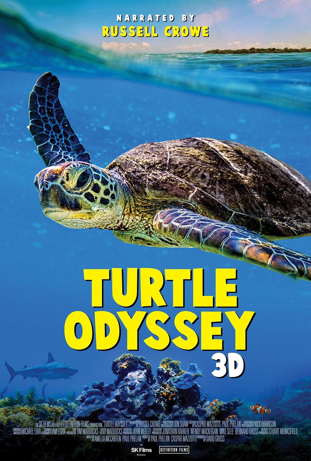 Turtle Odyssey 纪录片